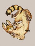 4_toes blank_expression feet feral fluffy fluffy_tail fur high-angle_view inner_ear_fluff looking_aside lying on_back pawpads paws pink_pawpads solo spots tail toes tuft whiskers yellow_eyes windwttom felid feline mammal serval hi_res