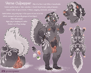 anthro anus balls body_hair bottom_heavy facial_hair femboy genitals hairy_balls happy_trail male mature_male moobs mustache overweight penis pubes solo text pinipeen eastern_spotted_skunk mammal mephitid skunk spotted_skunk english_text hi_res model_sheet
