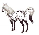 anatomically_correct anatomically_correct_anus anatomically_correct_genitalia anatomically_correct_pussy animal_genitalia animal_pussy anus appaloosa dock_(anatomy) equid equine equine_anus equine_genitalia equine_pussy female female_feral feral genitals hooves horse looking_down mammal puffy_anus pussy quadruped raised_tail shebeast solo tail unguligrade