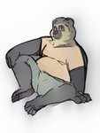 anthro bottomwear clothing male overweight overweight_anthro overweight_male shirt shorts simple_background sitting solo topwear white_background lentejota6 bear mammal short-faced_bear spectacled_bear 2020 3:4 hi_res