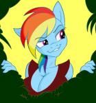 2013 alpha_channel animated anthro anthrofied bounce breasts bush cleavage clothed clothing equine female friendship_is_magic grin hair horse jiggle jrvanesbroek mammal multi-colored_hair my_little_pony plain_background pony purple_eyes rainbow_dash_(mlp) rainbow_hair smile solo transparent_background
Rating: Questionable
Score: 14
User: 2DUK
Date: December 23, 2013