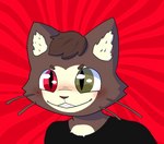 anthro black_clothing black_shirt black_topwear blush brown_body brown_fur chest_tuft clothing fur heterochromia inner_ear_fluff male mischievous_smile shirt solo topwear tuft whiskers undnift kralex domestic_cat felid feline felis mammal hi_res