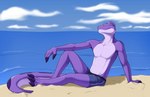 anthro basking clothing male sky smile solo swimwear badroy badroy_(character) reptile scalie snake hi_res