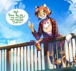 5_fingers anthro brown_hair clothed clothing cloud day detailed_background female fingers green_eyes hair outside sky skyscape smile solo standing text hihikori cheetah felid feline mammal 2019 digital_media_(artwork) english_text hi_res