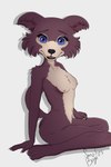 anthro brown_body brown_fur claws female finger_claws fur happy looking_at_viewer looking_pleasured seductive simple_background sitting smile smiling_at_viewer solo toe_claws white_body white_fur young young_anthro young_female smol_boye beastars juno_(beastars) canid canine canis mammal wolf 2025 2:3 absurd_res hi_res