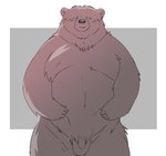 anthro balls biped blush flaccid genitals kemono male moobs penis simple_background slightly_chubby solo inunoshippo bear mammal 2024 hi_res