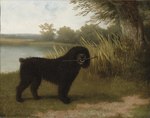 ambiguous_gender black_lips black_nose cloud day feral fur grass lips open_mouth outside plant quadruped shadow short_tail side_view snout solo standing stick_in_mouth tail teeth tree water white_body white_fur jacques-laurent_agasse canid canine canis domestic_dog mammal 19th_century ancient_art formal_art painting_(artwork) shaded soft_shading traditional_painting_(artwork)
