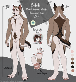 anthro areola biped butt claws countershade_torso countershading feet fingers front_view fur hair looking_at_viewer male navel nipples nude nude_anthro nude_male rear_view solo standing text toes spuydjeks canid canine canis domestic_dog mammal 2026 absurd_res digital_drawing_(artwork) digital_media_(artwork) english_text hi_res