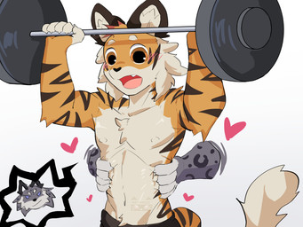 anthro athletic athletic_male blush duo exercise exercise_equipment fur grey_body grey_fur male male/male orange_body orange_eyes orange_fur solo_focus squeezing surprised waist_grab weightlifting weights workout lumii i_think_i_like_you dev_(i_think_i_like_you) red_(i_think_i_like_you) felid mammal pantherine snow_leopard tiger 4:3 absurd_res hi_res