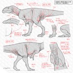 ambiguous_gender anatomy_chart anatomy_reference animal_genitalia chart claws cloaca directional_arrow earhole feral genitals head_crest pattern_background pubic_boot scales simple_background sitting solo standing text walking wrinkles ogyhara allosaurid allosaurus dinosaur prehistoric_species reptile scalie theropod 1:1 absurd_res hi_res japanese_text monochrome translation_request