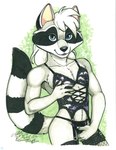 anthro black_markings blue_eyes clothed clothing femboy fur grey_body grey_fur hair legwear lingerie looking_at_viewer male markings pose raccoon_tail simple_background smile solo tail topwear underwear white_hair terrie_smith mammal procyonid raccoon pinup signature traditional_media_(artwork)