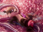 anal anal_penetration anal_prolapse animal_genitalia animal_penis anthro anus balls bodily_fluids brown_body brown_fur erection feet fingers fur genitals looking_pleasured lying male male_penetrated nude on_back open_mouth penetration penis prolapse prolapse_penetration saliva saliva_string sex smile solo spread_legs spreading stretched_anus tail teeth tentacle_in_ass tentacle_penetration tentacle_sex tentacles toes scimunk dreamworks over_the_hedge rj_(over_the_hedge) mammal procyonid raccoon 3d_(artwork) 3d_animation animated digital_media_(artwork) hi_res no_sound webm