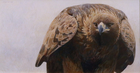 ambiguous_gender beak brown_body crouching feathers feral looking_at_viewer realistic sky solo wings geordie_millar accipitrid accipitriform avian bird eagle golden_eagle true_eagle painting_(artwork) traditional_media_(artwork) traditional_painting_(artwork)