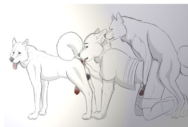 akita all_fours anal anal_penetration animal_genitalia anthro anthro_on_feral anus balls bent_over bestiality bottomless canine canine_penis dog doggystyle erection feral from_behind fur gay gloebis group group_sex interspecies kneeling male mammal oral penetration penis plain_background rimming sex standing thevale threesome white_background white_fur wolf
Rating: Explicit
Score: 20
User: thenewthing
Date: December 28, 2013