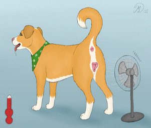 anatomically_correct anatomically_correct_genitalia anatomically_correct_vulva animal_genitalia animal_vulva anus bodily_fluids canine_genitalia canine_vulva clubs_(suit) curled_tail fan_(object) female feral fur genitals green_eyes green_scarf orange_body orange_fur saliva scarf scientific_instrument solo suit_symbol tail thermometer tongue tongue_out vulva white_body white_fur wind_lines maklykan iva_(maklykan) bird_dog canid canine canis domestic_dog golden_retriever hunting_dog mammal molosser mountain_dog retriever saint_bernard hi_res