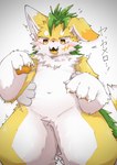 ambiguous_gender anthro begging_to_stop belly black_nose blush claws crotch_tuft dipstick_tail eyebrows facial_scar featureless_crotch fur grabbing_from_behind green_tail_tuft head_tuft inner_ear_fluff kemono markings naturally_censored nude orange_body orange_ears orange_eyes orange_fur orange_head orange_pawpads orange_scar orange_tongue pawpads scar simple_background solo_focus tail tail_markings tail_tuft tongue tuft white_background white_belly white_body white_claws white_crotch white_ears white_eyebrows white_face white_fur white_inner_ear_fluff white_paws white_ruff white_tail_tip yellow_mouth yellow_pawpads yellow_tail yellow_tongue xennochan hori_(hori_pinapple) canid canine mammal 2024 hi_res