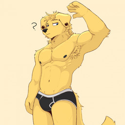 5_fingers abs anthro armpit_fetish armpit_hair armpit_tuft biceps black_briefs black_clothing black_nipples black_underwear blue_eyes body_hair briefs briefs_only bulge clothed clothing confusion duo ear_piercing fingers fur hair humanoid_hands male monotone_body monotone_fur muscular muscular_male neck_tuft nipples piercing question_mark raised_arm simple_background solo standing tail topless tuft underwear underwear_only yellow_body yellow_fur bezzeroo bird_dog canid canine canis domestic_dog golden_retriever hunting_dog mammal retriever 1:1 2025 digital_media_(artwork) hi_res portrait three-quarter_portrait