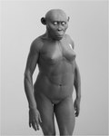3d_(artwork) abs areola australopithecus breasts digital_media_(artwork) female hominin humanoid lips lucy_(australopithecus) mammal monochrome muscular navel nipples not_furry photorealism primate unknown_artist wrinkles