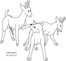 animal_genitalia animal_penis antelope_penis balls erection feral genitals group hooves horn interspecies looking_back male male/male nude_male open_mouth penis sheath simple_background tongue tongue_out trio white_background urbanhermit antelope bovid felid mammal pantherine 1981 black_and_white dated low_res monochrome