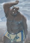 anthro barazoku belly brown_body brown_fur bulge clothing fur humanoid_hands kemono male musclegut muscular outside raining solo swimwear train_(artist) mammal suid suina sus_(pig) wild_boar 2014