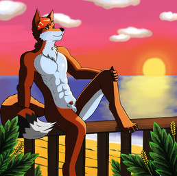 4_toes 5_fingers animal_genitalia anthro balls beach biped claws cloud day feet fingers fluffy fur genitals green_eyes hair male male_anthro muscular muscular_anthro muscular_male nude nude_anthro nude_male outdoor_nudity outside penis penis_tip plant sea seaside sheath sky smile solo sun sunset three-quarter_view toe_claws toes water white_body white_fur guffs canid canine canis fox hybrid mammal wolf 2019 digital_media_(artwork)