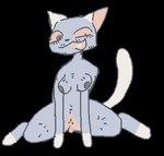 anthro big_clitoris breasts clitoris facial_hair female genitals nipples pussy solo spinning guncht domestic_cat felid feline felis mammal 2022 animated low_res short_playtime trans_(lore) trans_man_(lore)