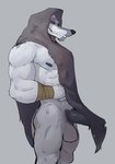 anthro arm_wrapping arm_wraps balls biceps black_nipples black_nose black_penis bodily_fluids bottomless casual_erection chin_tuft cloak clothed clothing darkened_genitalia darkened_penis erection erection_under_clothing facial_markings facial_tuft fur fuzzy genital_fluids genitals grey_background grey_body grey_fur grin head_markings hood hood_up humanoid_genitalia humanoid_penis ineffective_clothing looking_at_viewer male markings mask_(marking) mostly_nude muscular muscular_anthro muscular_male muscular_thighs narrowed_eyes nipples pecs penis poncho precum precum_through_clothing red_eyes side_view simple_background smile solo standing tenting tuft vein veiny_penis wet wet_clothing wrapped_arms wraps jrjresq dreamworks puss_in_boots_(franchise) death_(puss_in_boots) canid canine canis mammal wolf hi_res