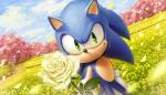 2014 anthro black_nose clothing detailed eulipotyphlan first_person_view flower gloves green_eyes handwear hedgehog hi_res male mammal outside plant raseinn sega signature smile solo sonic_the_hedgehog sonic_the_hedgehog_(series)