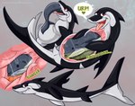 ambiguous_gender anotherfetishaccount belly big_belly bodily_fluids digestion duo feral feral_pred feral_prey grey_background inside_stomach male oral_vore red_eyes simple_background stomach_acid vore cetacean dolphin fish mammal marine oceanic_dolphin orca shark toothed_whale whale