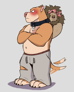 anthro barefoot bashful belly big_muscles black_collar blush blush_lines body_hair bottomwear brown_body brown_fur brown_nose chest_hair chest_scar claws clothing collar collar_tag crossed_arms dialogue drawstring drawstring_bottomwear drawstring_clothing drawstring_pants duo embarrassed embarrassed_expression eyebrows feet fur grey_bottomwear grey_clothing grey_pants grey_sweatpants grumpy looking_at_tail looking_away looking_down male male/male mane manly muscular muscular_anthro muscular_male orange_body orange_fur pants pec_scar pink_nose raised_eyebrows red_bandana red_clothing scar secretly_loves_it shadow simple_background skull_collar skull_collar_tag speech_bubble sweatpants tail tail_motion tailwag text thick_arms thick_eyebrows torn_bottomwear torn_clothing torn_pants tough_guy whiskers white_background syncrotrace archie_(syncrotrace) cedar_(syncrotrace) canid canine canis domestic_dog felid feline lion mammal pantherine pit_bull english_text hi_res