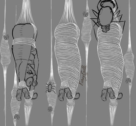 arthropod_webbing bdsm bondage bound clothing crossed_legs egg encasement female female_penetrated group helpless inflated_belly legs_tied legwear mummification oviposition ovipositor pantyhose penetration peril seedbed spider_web submissive submissive_female submissive_human web_bondage web_encasement fancyfalls autumn_science arachnid arthropod human mammal spider greyscale hi_res monochrome sketch
