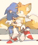 anthro blue_eyes clothing duo eyes_closed footwear fur furniture gloves handwear holding_object hug male sandals shoes simple_background sitting slippers slippers_only socks sofa white_clothing white_gloves white_handwear c52278 sega sonic_the_hedgehog_(series) miles_prower sonic_the_hedgehog canid canine eulipotyphlan fox hedgehog mammal 2020 dated hi_res