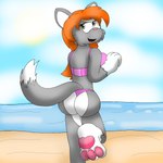 anthro beach bikini brown_hair clothing feet female foot_focus fur green_eyes grey_body grey_fur hair pawpads raised_leg seaside solo swimwear two-piece_swimsuit mrsilveralpha steve_and_friends terry_kenny domestic_cat felid feline felis mammal 1:1 hi_res