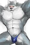 abs anthro biceps big_muscles clothed clothing fur grey_body grey_fur male muscular muscular_anthro muscular_male pecs scar simple_background skimpy solo speedo swimwear topless underwear white_body white_fur iceman1984 sega shining_(sega) shining_force shining_wind rouen_(shining) canid canine canis mammal wolf