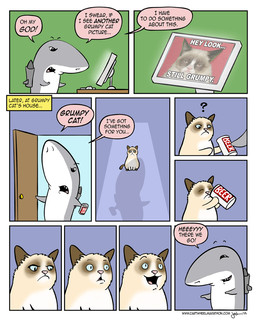 :< :d alcohol beer beverage can computer container door drinking drunk duo electronics female feral food humor jet_pack keyboard question_mark rocket smile substance_intoxication text what unknown_artist tardar_sauce aquatic domestic_cat felid feline felis fish mammal shark 2012 4:5 comic english_text lol_comments meme