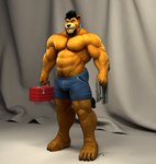 abs anthro barefoot beard biceps black_hair blue_bottomwear blue_clothing blue_shorts bottomwear brown_eyes claws clothed clothing container curtains deltoids facial_hair feet fur goatee hair holding_clothing holding_container holding_object holding_shirt holding_topwear looking_at_viewer male musclegut muscular muscular_thighs navel nipples obliques pecs pubes shirt shorts solo tail tail_tuft toe_claws toolbox topless topwear triceps tuft whiskers white_hair yellow_body yellow_fur braford kurt_(braford) felid lion mammal pantherine 2016 3d_(artwork) dated digital_media_(artwork) signature