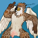 anthro brown_hair eye_contact genitals hair looking_at_another male penis solo wings thirstfur accipitrid accipitriform avian bird buteo chickenhawk red-tailed_hawk hi_res