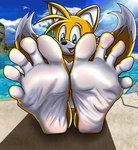 5_toes anthro beach emerald_coast feet foot_fetish foot_focus glistening glistening_feet looking_at_viewer male male_feet outside plantigrade smile soles solo spread_toes toes white_soles wrinkled_feet wrinkles firelightproductions poseidonking5 sega sonic_the_hedgehog_(series) miles_prower canid canine fox mammal absurd_res hi_res