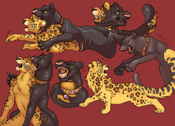 absorption_vore alternate_species amethyst_(gem) anthro attack black_body black_fur black_nose clenched_teeth collar digitigrade fangs feral front_view fur gem glistening goo_transformation green_eyes grin group head_in_mouth jewelry jumping latex leopard_spots looking_at_another male markings melanistic multicolored_body multicolored_fur nude open_mouth paws pink_nose pounce red_background shoulder_grab side_view simple_background slim smile snout spots spotted_body spotted_fur surprised takeover teeth transformation transformation_sequence trifocal_sequence vore yellow_body yellow_fur matuska darkjaguar01 felid goo_creature jaguar latex_creature living_latex mammal pantherine 2014 digital_drawing_(artwork) digital_media_(artwork) sequence