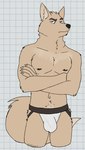 amber_eyes anthro biped black_nose body_hair brown_eyebrows bulge checkered checkered_background claws clothed clothing crossed_arms eyebrows fluffy fluffy_tail fur happy_trail inner_ear_fluff jockstrap jockstrap_only looking_at_viewer male male_anthro multicolored_body multicolored_clothing multicolored_underwear muscular muscular_anthro muscular_male navel partially_clothed partially_clothed_male pattern_background raised_tail simple_background slim solo standing tail tan_body tan_fur tan_inner_ear tan_inner_ear_fluff topless tuft underwear underwear_only whiskers white_background white_claws white_clothing white_jockstrap white_underwear unsafescapewolf echo_(series) echo_project the_smoke_room tsela_begay canid canine fennec_fox fox mammal true_fox 2024 digital_drawing_(artwork) digital_media_(artwork) hi_res portrait three-quarter_portrait