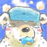 anthro biped black_nose blush bodily_fluids food fur kemono outside popsicle popsicle_melting sea_salt_ice_cream solo sweat white_body white_fur utsuki_maito bear mammal polar_bear ursine 1:1 low_res