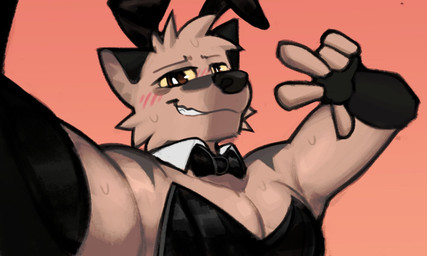 anthro arm_markings arm_warmers armwear black_clothing black_leotard blush blush_lines bodily_fluids bow_tie brown_eyes bunny_costume clothing costume fake_ears fake_rabbit_ears gesture leotard male markings orange_background shirt_collar shoulder_markings simple_background smug solo star_(marking) sweat yellow_sclera rygel_spkb yoby_(rygel_spkb) canid canine mammal 2025 digital_media_(artwork)