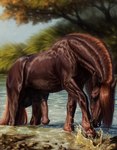 anatomically_correct_feral animal_genitalia animal_penis balls big_balls big_penis black_balls blue_eyes blurred_background brown_body brown_fur day detailed detailed_background detailed_fur draft_horse dripping equid equine equine_balls equine_genitalia equine_penis feral fur genitals grass half-erect hi_res hooves horse looking_at_viewer male mammal medial_ring mud outside partially_submerged penis plant quadruped realistic_feral scarlanya shaded sky solo splash tahoe_(stormwx_wolf) tree vein veiny_muscles water wet wet_body wet_fur