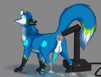 4_toes anal anal_masturbation anal_penetration animal_genitalia animal_penis anus backsack balls bioluminescence black_body black_ears black_fur black_paws blue_blush blue_body blue_eyes blue_fur blue_pawpads blue_penis blue_tongue blush bodily_fluids butt canine_genitalia canine_penis cum cum_on_ground cum_while_penetrated dipstick_tail drooling ejaculation erection fangs feet feral feral_penetrated fucking_machine fur fur_markings genital_fluids genitals gloves_(marking) glowing green_body green_fur green_nose grey_background hands-free hindpaw knot leg_markings looking_at_viewer looking_back looking_pleasured machine male male_penetrated markings masturbation multicolored_body multicolored_fur multicolored_tail one_leg_up open_mouth orgasm pawpads paws penetration penis quadruped raised_leg raised_tail rear_view reflection saliva simple_background socks_(marking) solo sound_effects sparklefur standing tail tail_markings tears teeth text toes tongue tongue_out white_body white_fur conditional_dnp naoki_wolf sirfox_(character) zatch_(sirfox) canid canine fox mammal 2015 signature