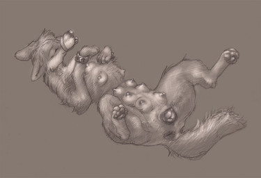 anatomically_correct anatomically_correct_anus anatomically_correct_genitalia anatomically_correct_vulva animal_genitalia animal_vulva anus bound breasts canine_genitalia canine_vulva claws erect_nipples eyes_closed female feral genitals harem lying multi_breast muzzle_(object) muzzled nipples on_back paws quadruped simple_background solo submissive submissive_female tail tongue tongue_out vulva nullenigma canid canine canis mammal wolf 2010 greyscale monochrome
