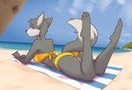 anthro arm_in_front arms_bent athletic athletic_anthro athletic_female beach bent_legs bikini blue_eyes breasts butt calves_up clothing female female_anthro fur grey_body grey_fur hand_on_arm hand_on_forearm hand_on_own_arm hand_on_own_forearm holding_arm holding_forearm looking_at_viewer lying medium_breasts multicolored_body multicolored_fur on_front raised_calf sand seaside slim solo swimwear two-piece_swimsuit two_tone_body two_tone_fur yellow_clothing yellow_swimwear sharkcatsg viksen canid canine fox mammal 2021 digital_media_(artwork) hi_res