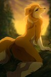 anthro black_nose brown_body brown_fur butt female fluffy fur genitals grass humanoid_hands looking_back nude outdoor_nudity outside plant pussy rear_view smile solo sunset hioshiru rover_dangerfield daisy_(rover_dangerfield) canid canine canis domestic_dog mammal 2017 hi_res