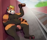 anthro balls drunk foreskin genitals male nude overweight overweight_anthro overweight_male paws penis solo substance_intoxication azrealm1 ailurid mammal red_panda absurd_res hi_res