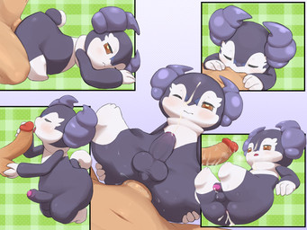 anal anal_orgasm anal_penetration anthro anthro_penetrated anus balls bodily_fluids cowgirl_position cum cum_in_ass cum_inside cum_on_face duo ejaculation fellatio foreskin from_behind_position from_front_position genital_fluids genitals hands-free human_on_anthro human_penetrating human_penetrating_anthro human_penetrating_male humanoid_genitalia humanoid_penis interspecies kneeling licking male male/male male_anthro male_human male_penetrated male_penetrating male_penetrating_anthro male_penetrating_male multiple_positions on_bottom on_top oral orgasm penetration penile penile_penetration penis penis_in_ass penis_lick pokephilia sex tongue beageiso nintendo pokemon generation_8_pokemon human indeedee mammal pokemon_(species) 4:3 absurd_res hi_res