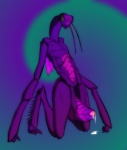 4_arms antennae_(anatomy) arthropod arthropod_abdomen arthropod_abdomen_genitalia arthropod_abdomen_pussy bodily_fluids cum cum_drip cum_inside dripping dungeons_and_dragons feelers female genital_fluids genitals hasbro insect insect_wings mantis messy multi_arm multi_limb pussy queblock solo thri-kreen wings wizards_of_the_coast